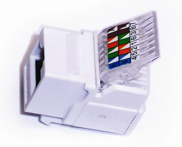 JACK RJ45 BLANCO