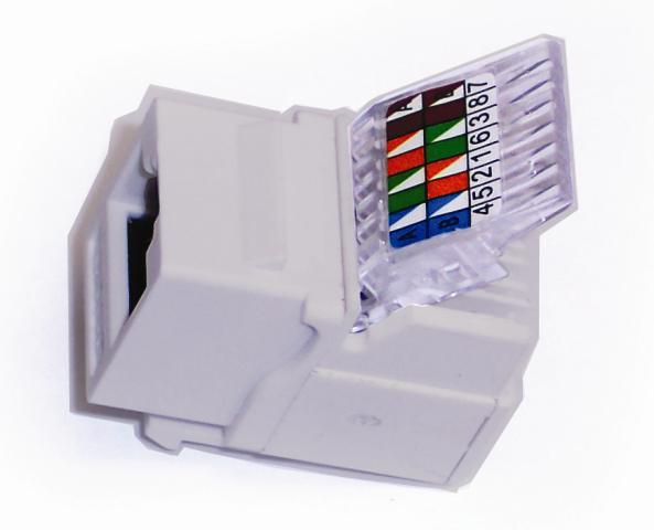 JACK RJ45 GRIS